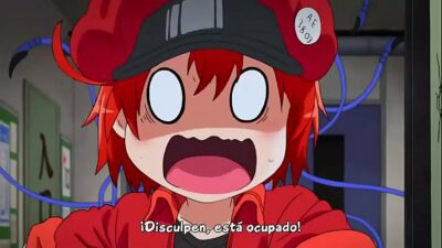 Hataraku-saibou