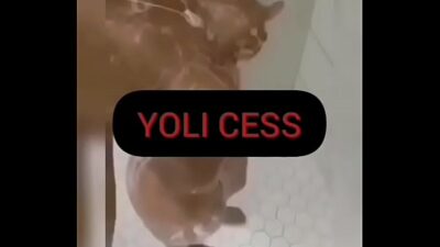 Yoli lqsa