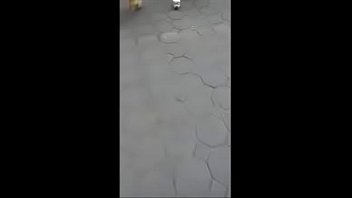 Serviporno gratis culonas