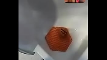 Miaa califa