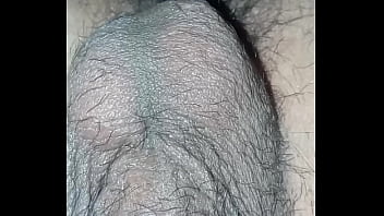 Castando testiculos