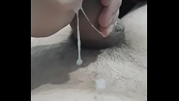 Pono equisito