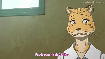 Furro duro