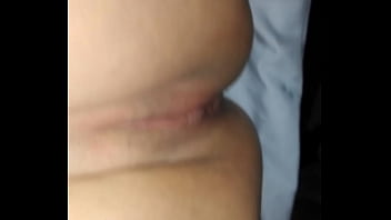 Chicos boxer