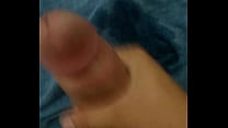 Cotización de minirales