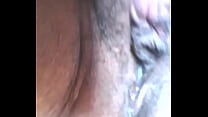 Sexo hermafroditas